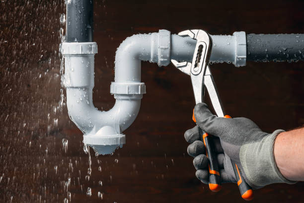Professional Plumbing technician working in Polk City, IA